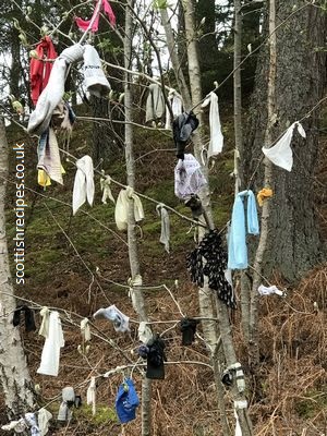 clootie well tree clothing rags
